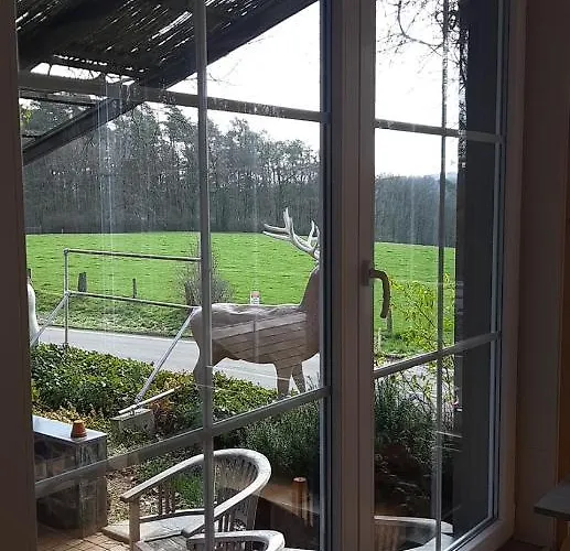 Maison Des Ardennes Maissin